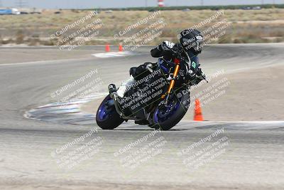 media/Aug-03-2024-TrackDaz (Sat) [[30bed884ff]]/C Group/1240pm (Grapevine)/